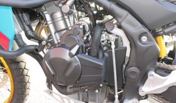 
									MITT TT 555 full								