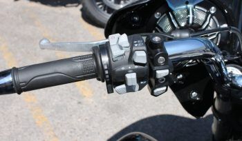 
									MITT TRAVELLER 808 full								