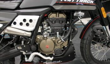 
									F.B MONDIAL FLAT TRACK 125 full								