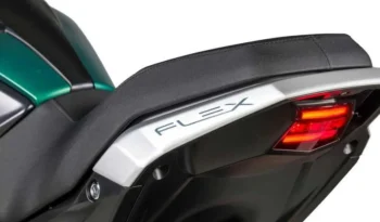 
									F.B MONDIAL FLEX 300 full								