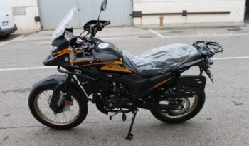 
									MITT DESERT 125 full								