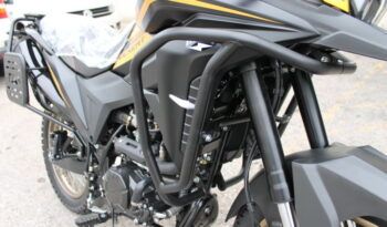 
									MITT DESERT 125 full								