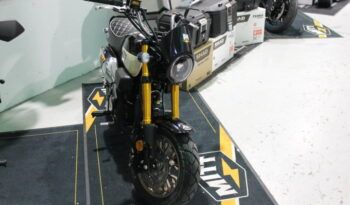 
									MITT IBIZA 125 full								