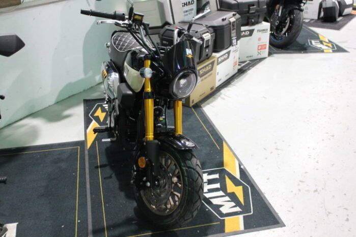 
								MITT IBIZA 125 full									