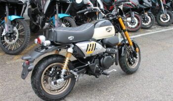 
									MITT IBIZA 125 full								