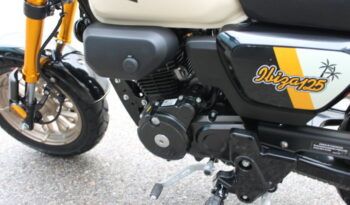 
									MITT IBIZA 125 full								