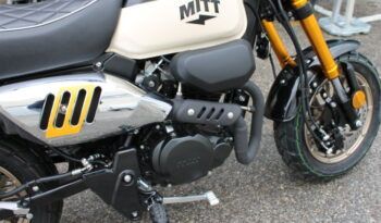 
									MITT IBIZA 125 full								