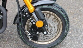 
									MITT IBIZA 125 full								