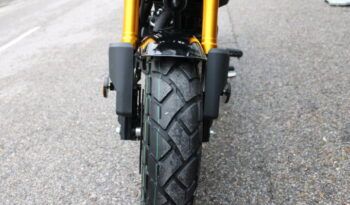 
									MITT IBIZA 125 full								
