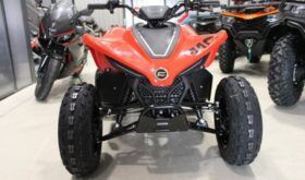 CFMOTO ATV CFORCE 110 INFANTIL