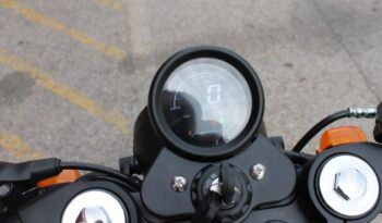 
									MITT LEGEND 125 full								