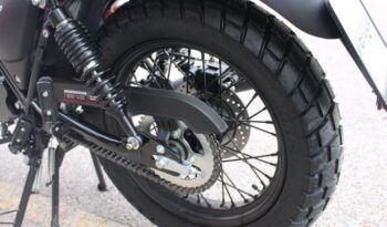 
									MITT LEGEND 125 full								