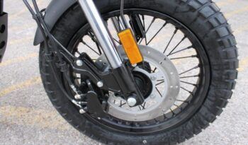 
									MITT LEGEND 125 full								