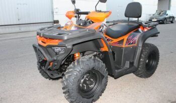 
									MITT ATV 330 2×4 (4×4) full								