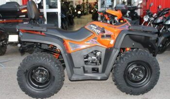 
									MITT ATV 330 2×4 (4×4) full								