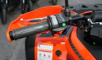 
									MITT ATV 330 2×4 (4×4) full								