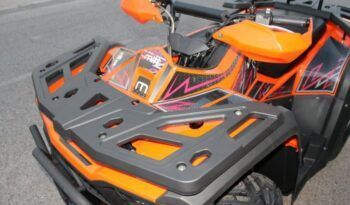 
									MITT ATV 330 2×4 (4×4) full								