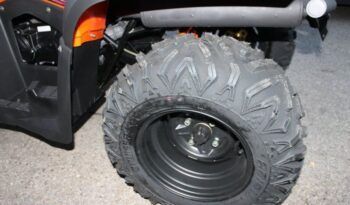 
									MITT ATV 330 2×4 (4×4) full								