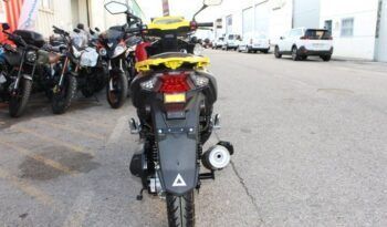 
									MITT XRS 49 full								