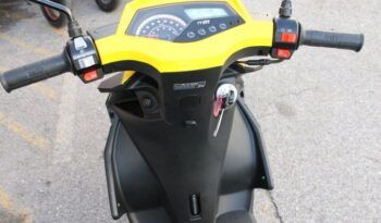 
									MITT XRS 49 full								