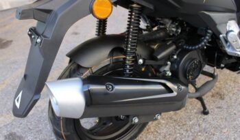 
									MITT XRS 49 full								