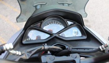 
									MITT LEGRAND 125 full								