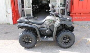 
									CFMOTO CFORCE 625 EPS full								