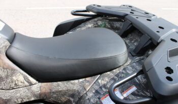 
									CFMOTO CFORCE 625 EPS full								