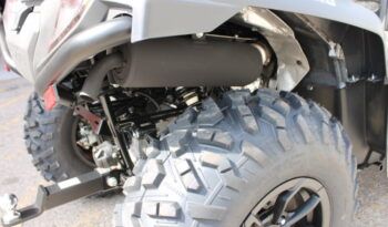 
									CFMOTO CFORCE 625 EPS full								