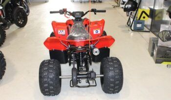 
									CFMOTO ATV CFORCE 110 INFANTIL full								