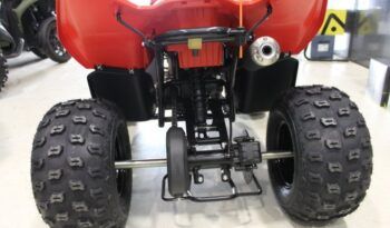 
									CFMOTO ATV CFORCE 110 INFANTIL full								