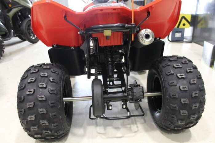 
								CFMOTO ATV CFORCE 110 INFANTIL full									