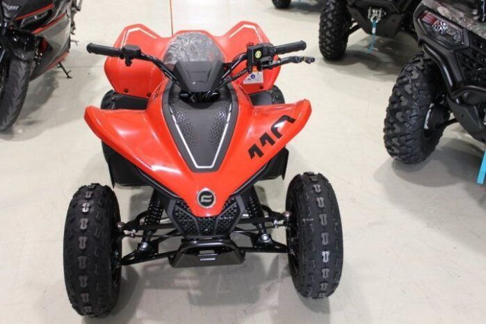 
								CFMOTO ATV CFORCE 110 INFANTIL full									