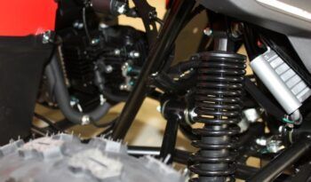 
									CFMOTO ATV CFORCE 110 INFANTIL full								