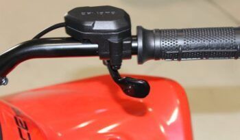 
									CFMOTO ATV CFORCE 110 INFANTIL full								