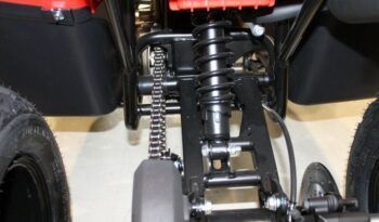 
									CFMOTO ATV CFORCE 110 INFANTIL full								