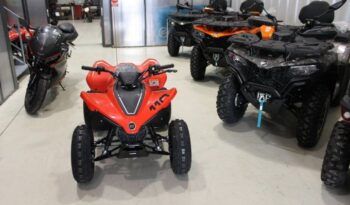 
									CFMOTO ATV CFORCE 110 INFANTIL full								