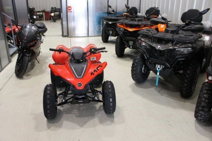 
								CFMOTO ATV CFORCE 110 INFANTIL full									