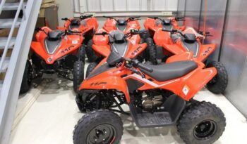 
									CFMOTO ATV CFORCE 110 INFANTIL full								