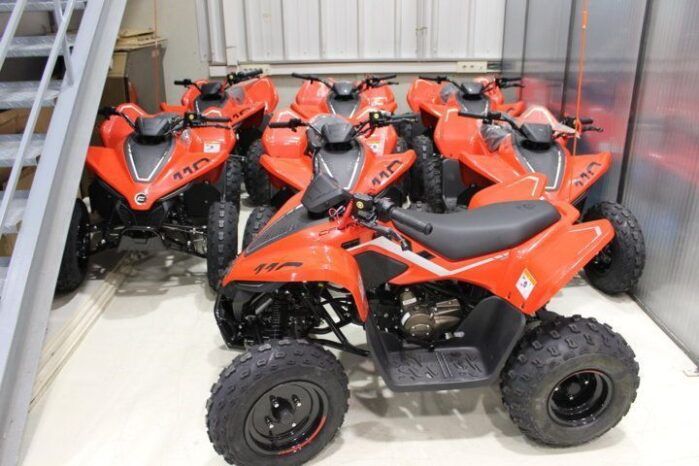 
								CFMOTO ATV CFORCE 110 INFANTIL full									