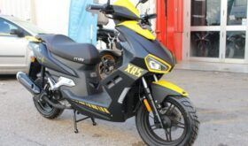 MITT XRS 49