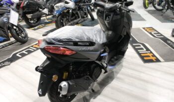 
									MITT T-ROX  125 full								