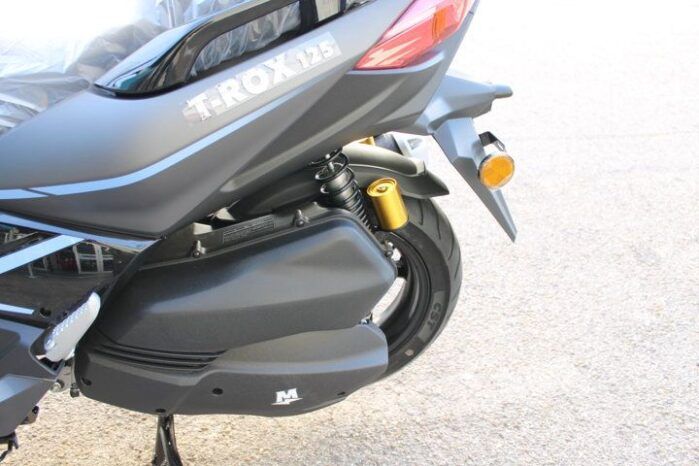 
								MITT T-ROX  125 full									