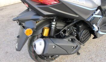 
									MITT T-ROX  125 full								
