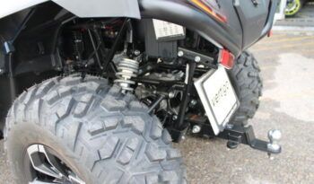 
									CFMOTO CFORCE 625 TOURING EPS full								