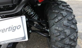 
									CFMOTO CFORCE 625 TOURING EPS full								