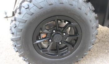 
									CFMOTO CFORCE 520 L EPS full								