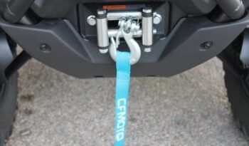 
									CFMOTO CFORCE 520 L EPS full								