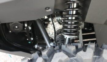 
									CFMOTO CFORCE 520 L EPS full								