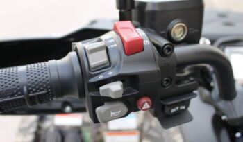 
									CFMOTO CFORCE 520 L EPS full								